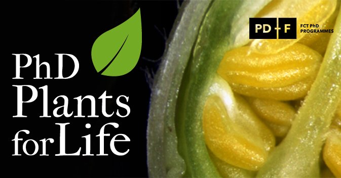itqbnova's tweet photo. Applications open until January 24 for the International #PhD Program Plants for Life. 6 #scholarships available to train world-class students in #plantsciences with researchers from 40 labs in Portugal, Belgium, Germany and Uk https://t.co/btwwaKZbdS #phdlife #phdchat #grant https://t.co/pxh7obKQ7v