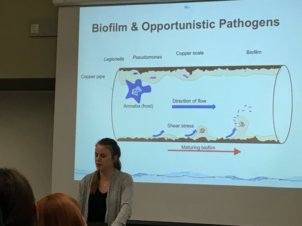 WaterStudies's tweet photo. On Friday, @WaterStudies students Heather McGuire, Isobel Demont, Fatou Secka and Meaghan MacGillivray presented their research work at Dr. Graham Gagnon's Group Meeting. https://t.co/AYyVa63rUG
