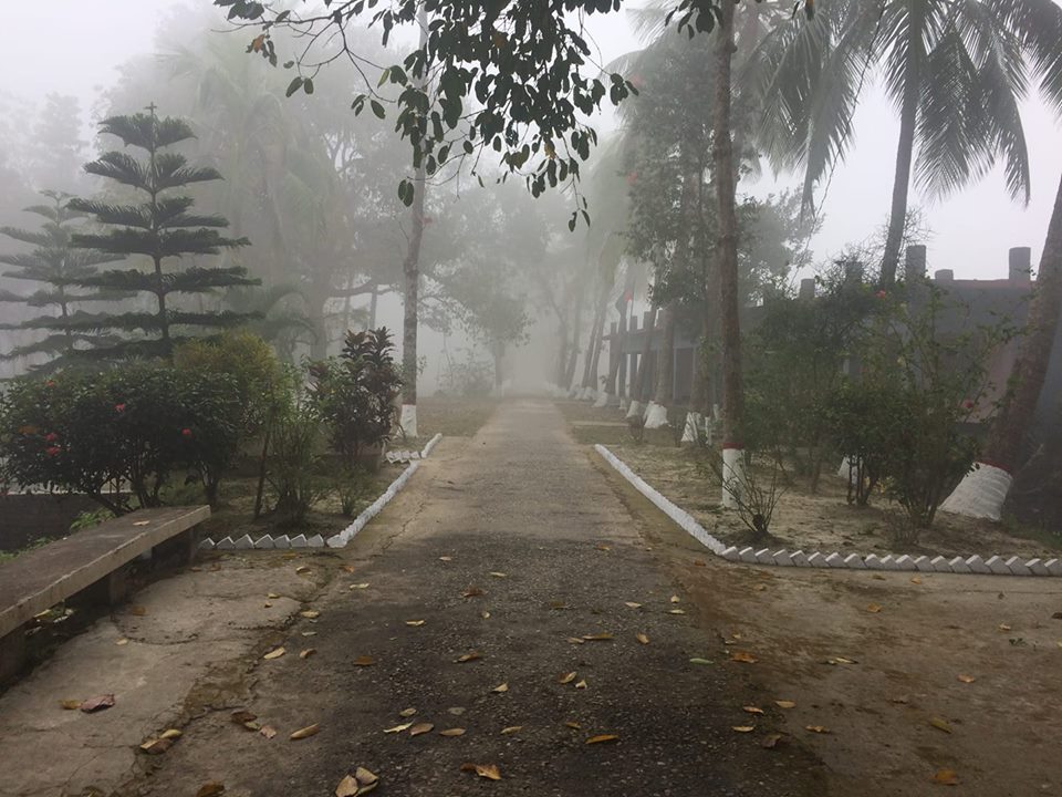 SBinAlam's tweet photo. #WinterMorning #NanuBari https://t.co/NNqBKi8TI2