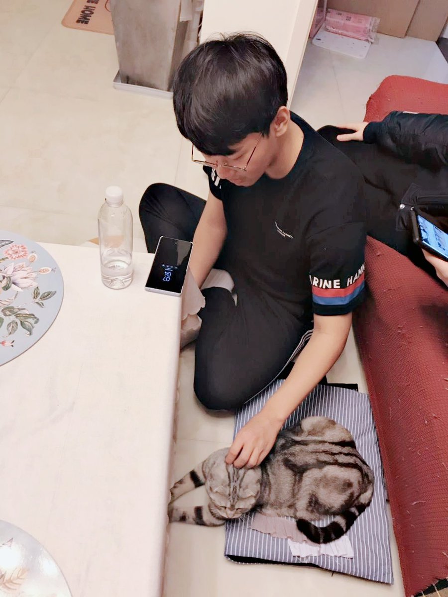yoplait913's tweet photo. 서행이 막타한테 맞음 ㅠ ㅋㅋㅋㅋㅋㅋㅋ https://t.co/chUo9Tkojw