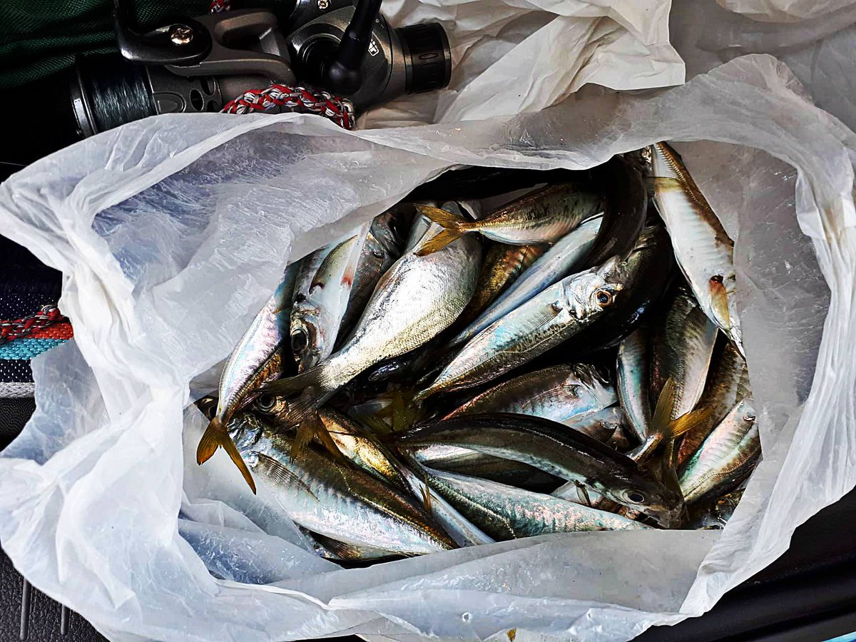 Feedback...2 😄😄
#fishing #fishinglife #fishingrod #fishingday #borancapari