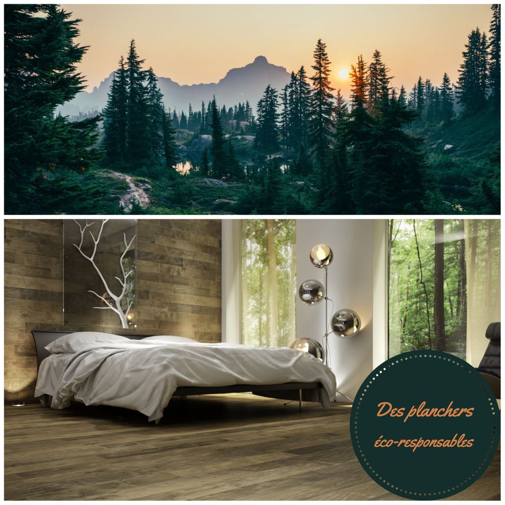 Les planchers Lauzon sont certifiés FSC (Forest Stewardship Council) qui démontre leur gestion responsable de nos belles forêts! De nombreux organismes internationaux soutiennent le FSC, dont <a href="/WWF/">WWF</a> <a href="/DavidSusuki/">David Susuki</a> <a href="/Greenpeace/">Greenpeace International</a> et @RainForestAlliance