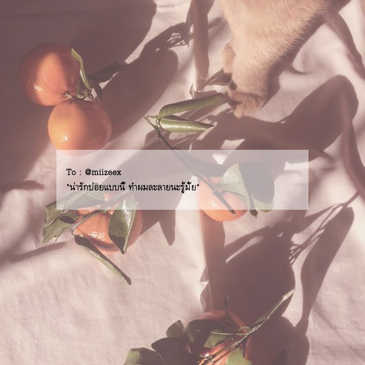 i.peach.you(rest) tweet media