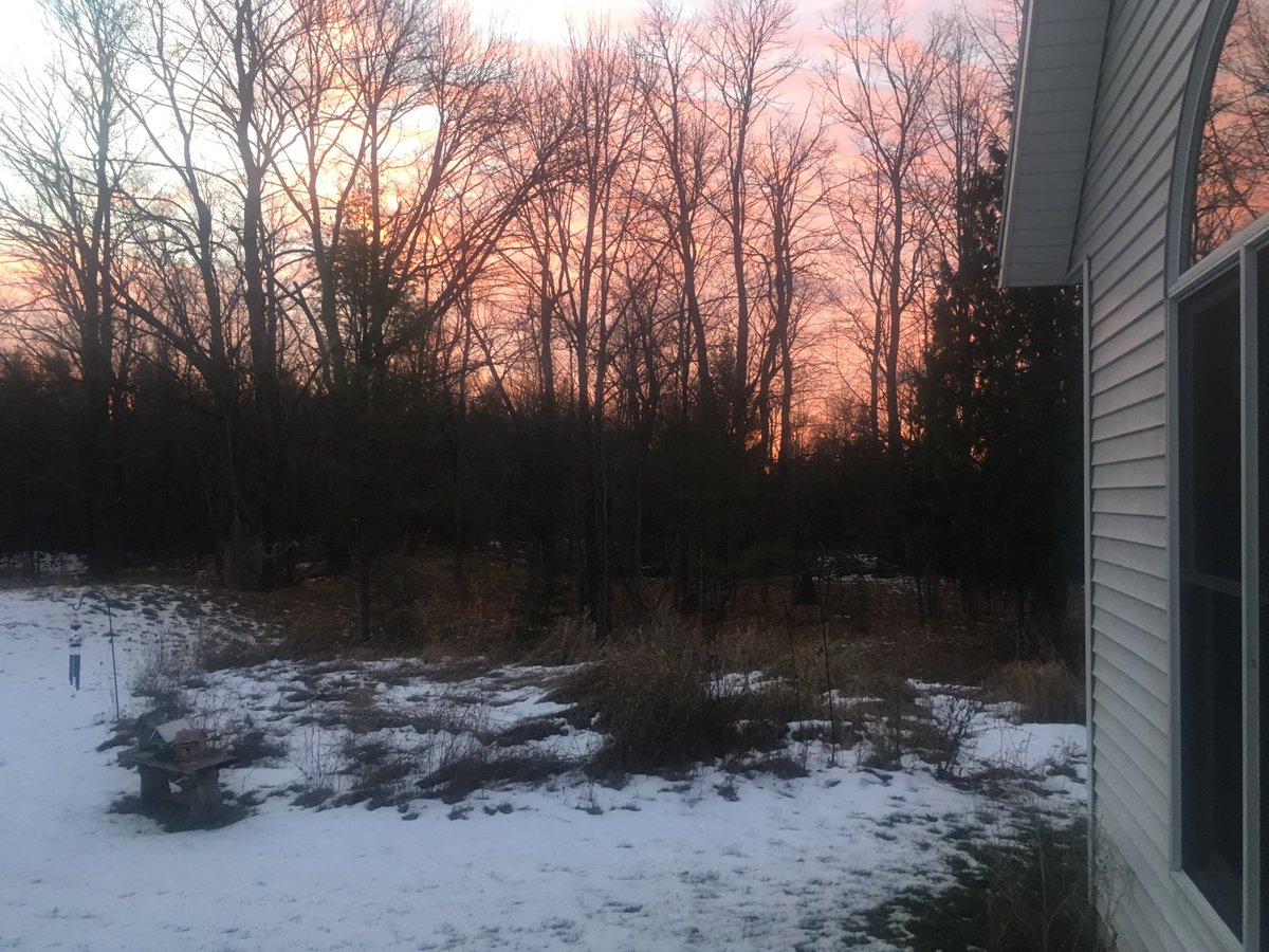 CraigBastian's tweet photo. Beautiful sunrise today https://t.co/e9pFOeZmGm