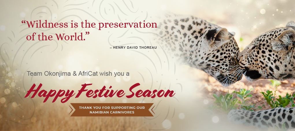 Team #Okonjima would like to wish you a wonderful Festive season !!!

Thank you for your continued support  &lt;3

#Namibia #safarilife

okonjima.com