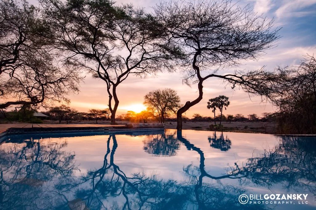 Another sunset in Africa...

This time at #OngumaTentedCamp...💜

#Onguma #Namibia #travelafrica

onguma.com/onguma-tented-…

© Bill Gozansky Photography, LLC
