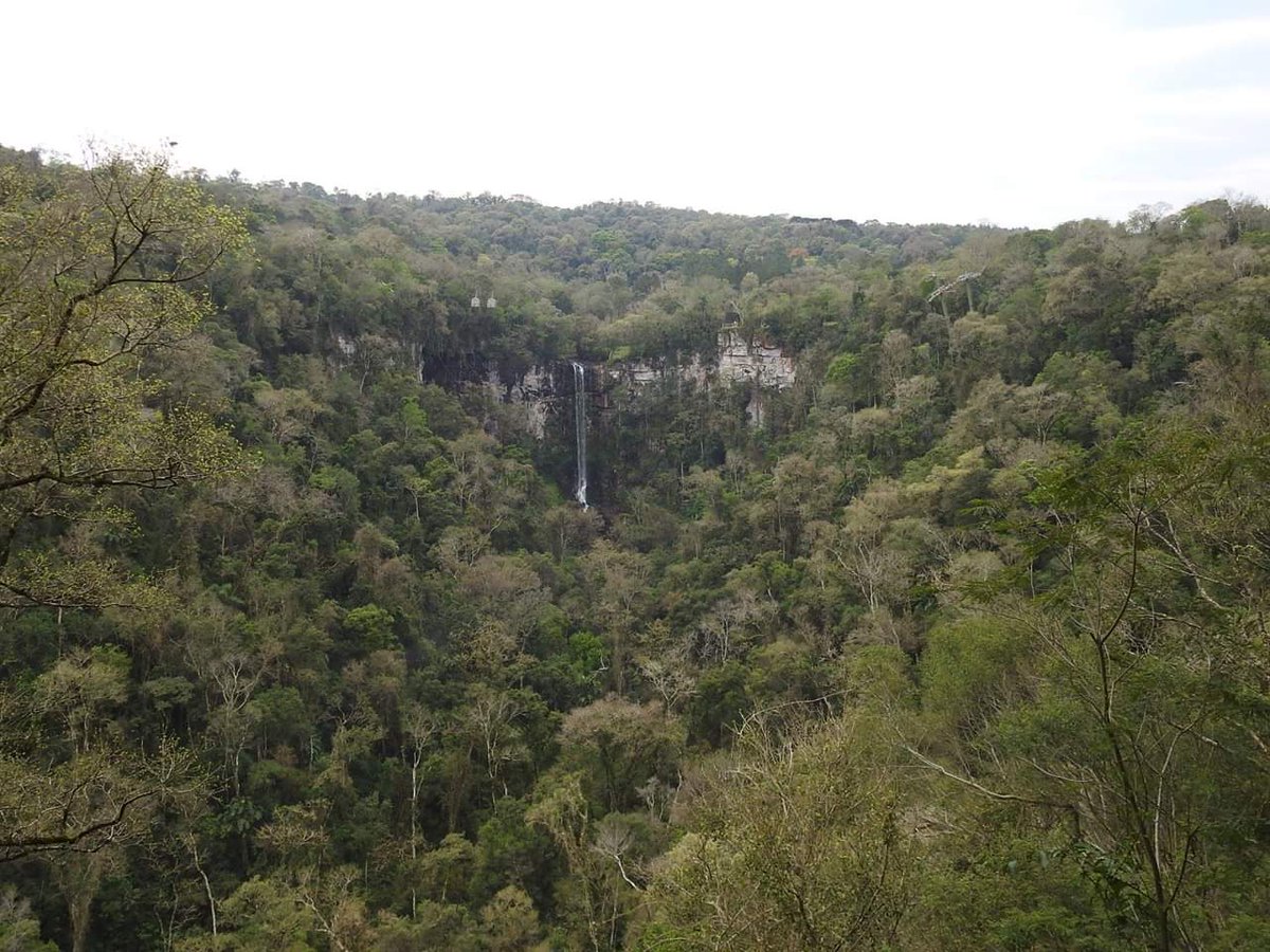 turisargentina's tweet photo. Parque Provincial Salto Encantado, municipio de Aristóbulo del Valle, en #Misiones 🤩🍃🙌🌊

¡Gracias Eduardo Obregón por compartirnos tus fotos! https://t.co/E6vtoXaO8O