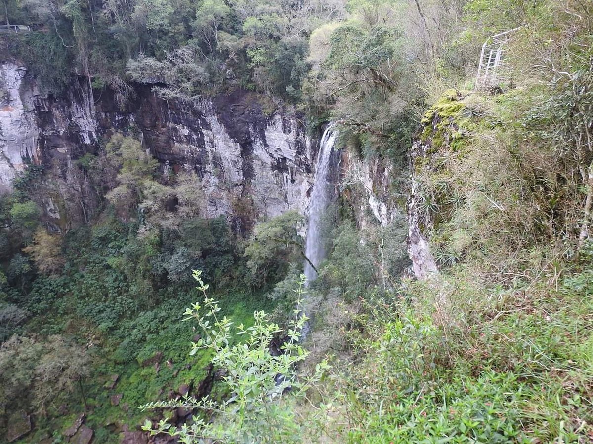 turisargentina's tweet photo. Parque Provincial Salto Encantado, municipio de Aristóbulo del Valle, en #Misiones 🤩🍃🙌🌊

¡Gracias Eduardo Obregón por compartirnos tus fotos! https://t.co/E6vtoXaO8O