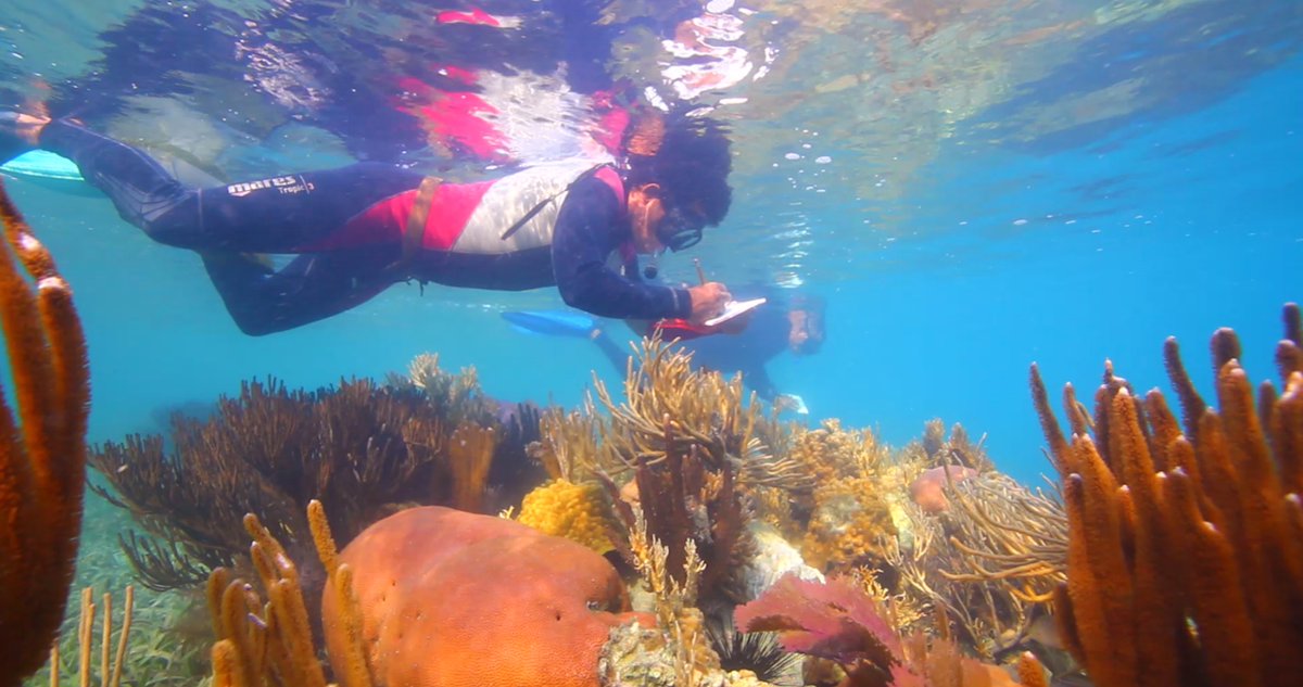 Programa_CYTED's tweet image. Tercer capítulo de COMPARTIR CONOCIMIENTO: Cuba y el uso sostenible de los recursos marinos. En este capítulo de 5 minutos contaremos el caso de una red destacada coordinada por una experta cubana que trabajó sobre esta temática  youtu.be/h-9_e500HJ8 #cyted