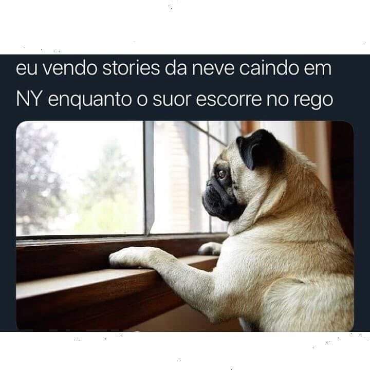 jocarval01's tweet photo. Calor da porra https://t.co/CyeSVZiar5
