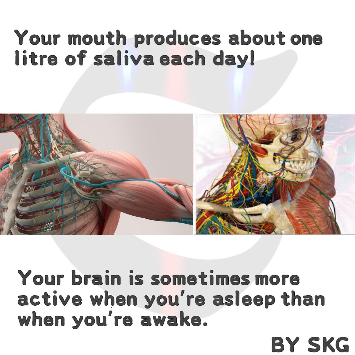 skgvirals's tweet photo. #instagood #facts #knowledge #technology #tech #advance #computer #computerscience #computerengineering #computerworld #hack #hacker #hacks #hackinstagram #wifi #wifipassword #hackers #hackerman #genius #modern #hacking #wried #team #kalilinux #best #skg_vlogs #skg_virals https://t.co/qFLnzi3Pl4
