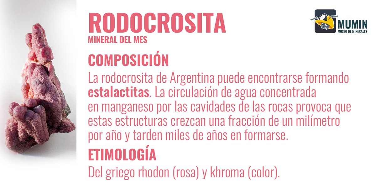 MuseoMumin's tweet photo. Mineral del mes: Rodocrosita
#MineraldelMes #Minerales #MuseoMumin #curiosidades #Rododcrosita #Geología #Geology #Rhodochrosite #PiedraNacionalArgentina #Argentina #Rosa #RosadelInca #Mineral #SabiasQue #Composicion #estalactitas #manganeso #rhodon #khroma #Etimologia https://t.co/EJAi7NU4mu