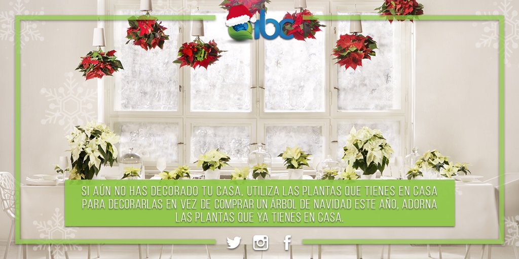 Para decorar de navidad de forma ecológica..