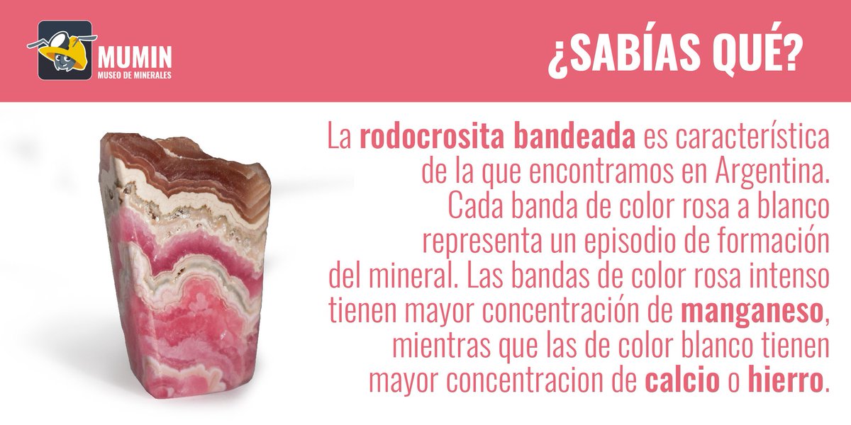 MuseoMumin's tweet photo. Mineral del mes: Rodocrosita
#MineraldelMes #Minerales #MuseoMumin #curiosidades #Rododcrosita #Geología #Geology #Rhodochrosite #PiedraNacionalArgentina #Argentina #Rosa #RosadelInca #Mineral #SabiasQue #RodocrositaBandeada #bandeada #Manganeso #Calcio #Hierro https://t.co/Dz3302BI2B