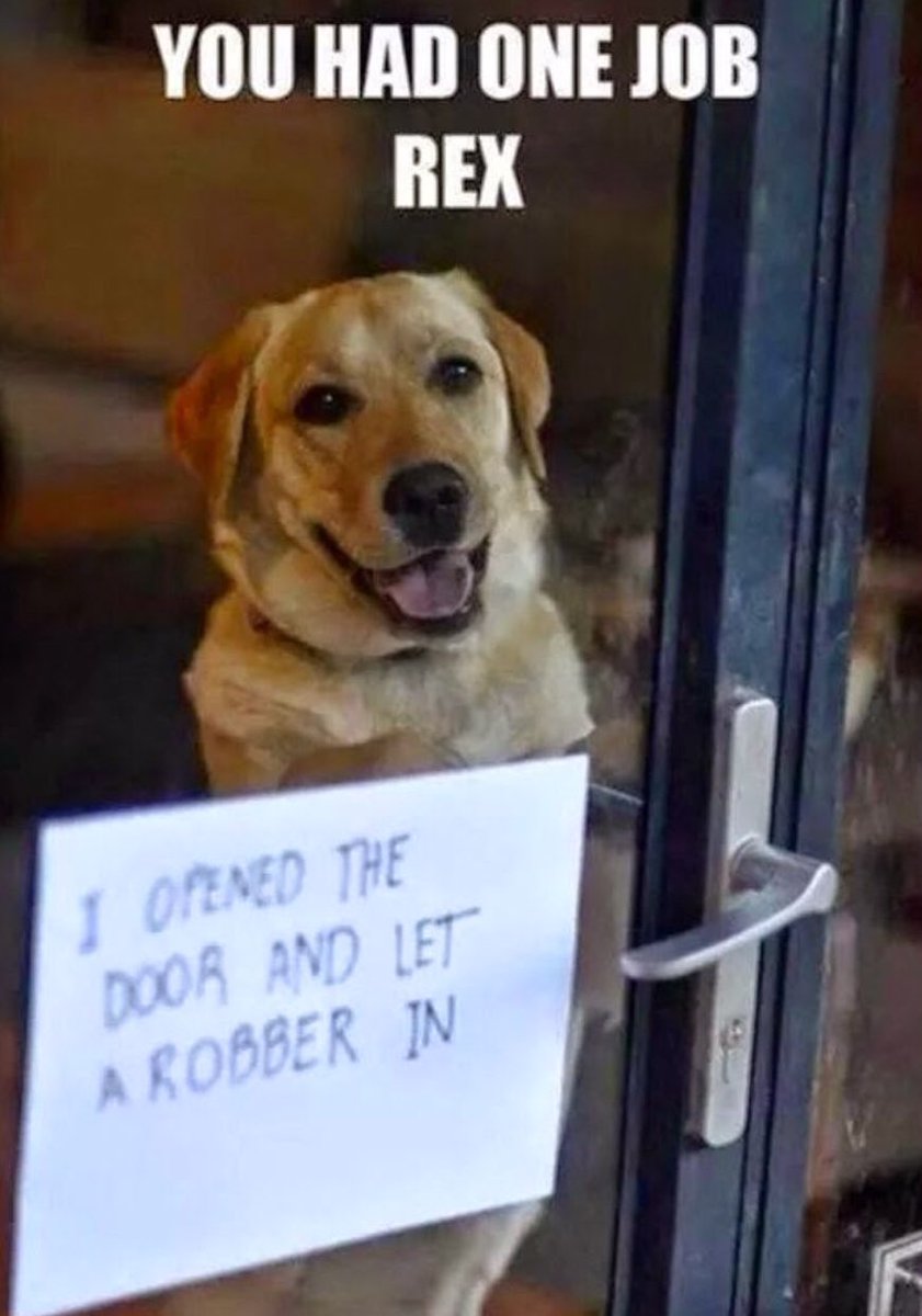PostmanBark's tweet image. Yea I agree, this dog did have one job.. Well let’s hope they didn’t take everything, let’s all hope our dogs protect us! #DogLover #dogs #dogandpuplovers #dogsoftwitter #dogsarefamily #doggy