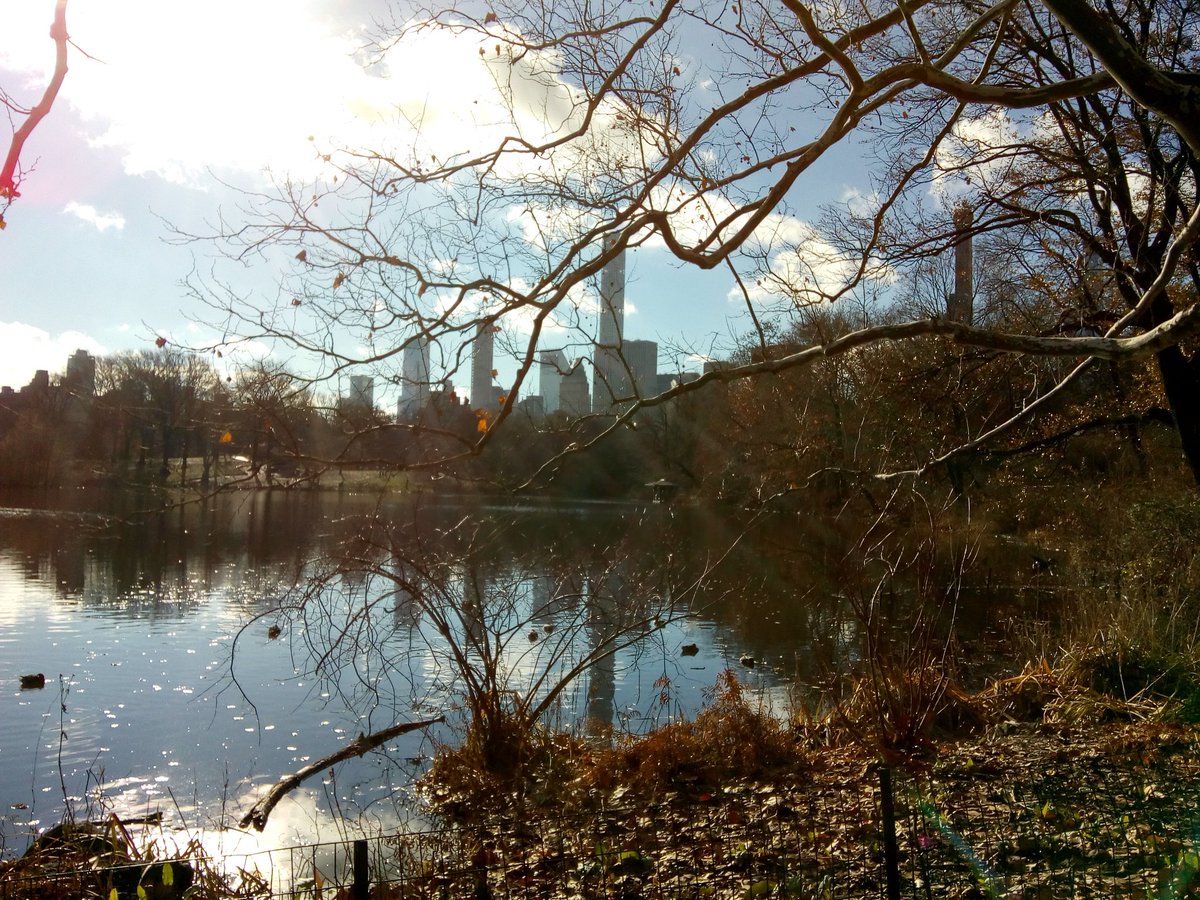 PriorPark's tweet photo. More from the NY group. https://t.co/59xKqkFqO0