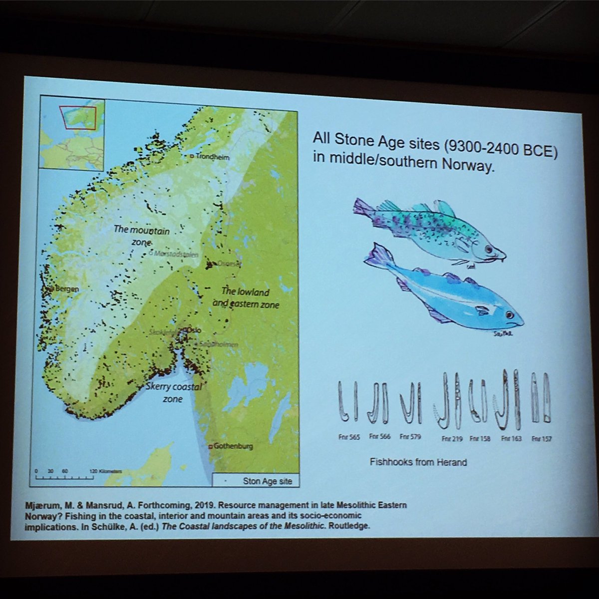 EmmaTollefsen's tweet photo. Norway, Norwegian Mesolithic fishing practices &amp; Norwegian prehistoric rock art has made an appearance at #TAGDeva 🇳🇴 Anja Mansrud (@UniOslo) is exploding a relational approach &amp; experimental archaeology to understand this material. #tag102 @DevaTag2018 #TAG2018 #Chester #phdlife https://t.co/l0BX34N483