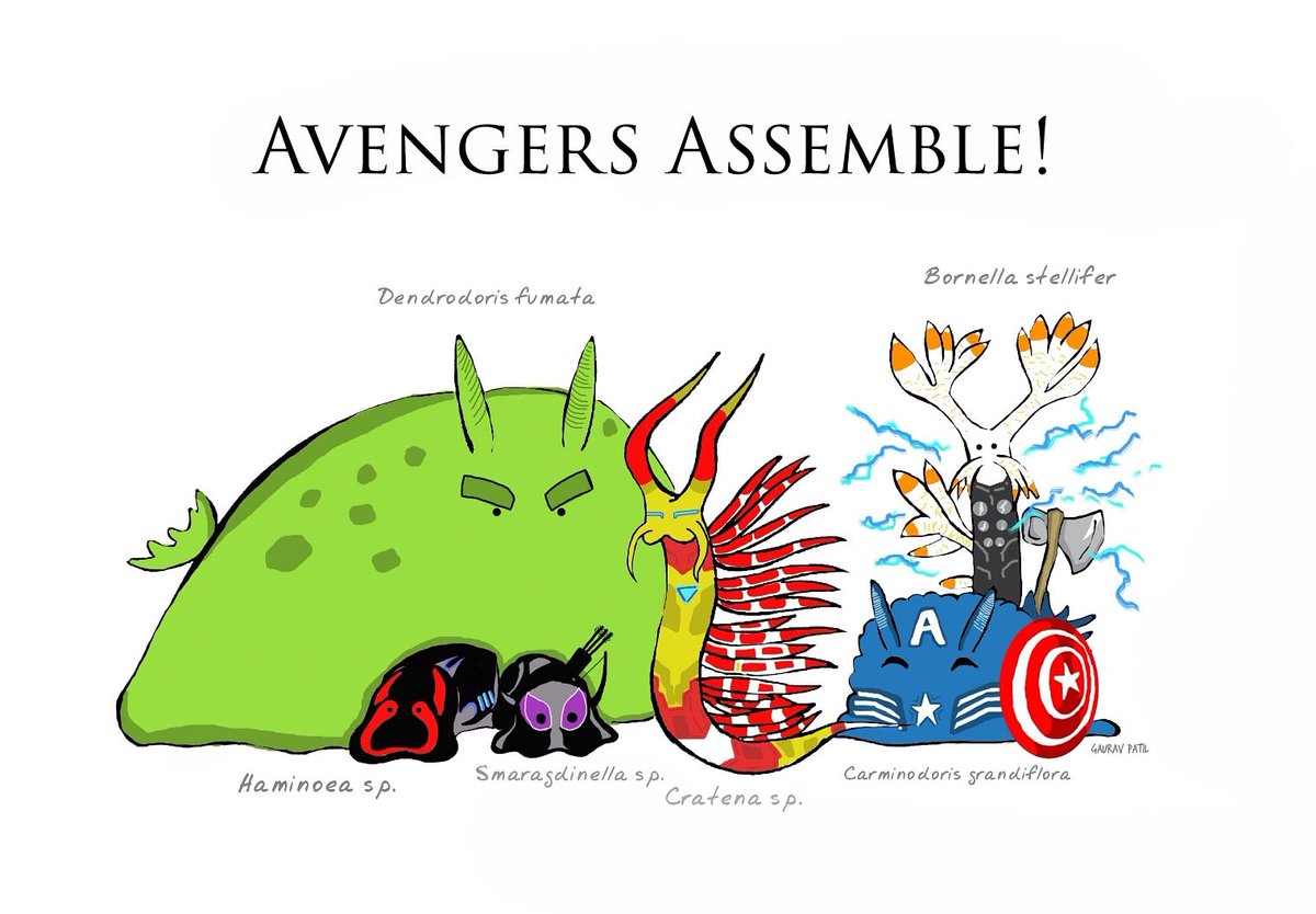 Avengers Assemble!
.
Tried to make 'Sea slugs of Mumbai' a bit 'Marvel'ous :P

#seasawarts #seaslug #marine #mumbai #doodle @MLOMumbai @MarvelStudios