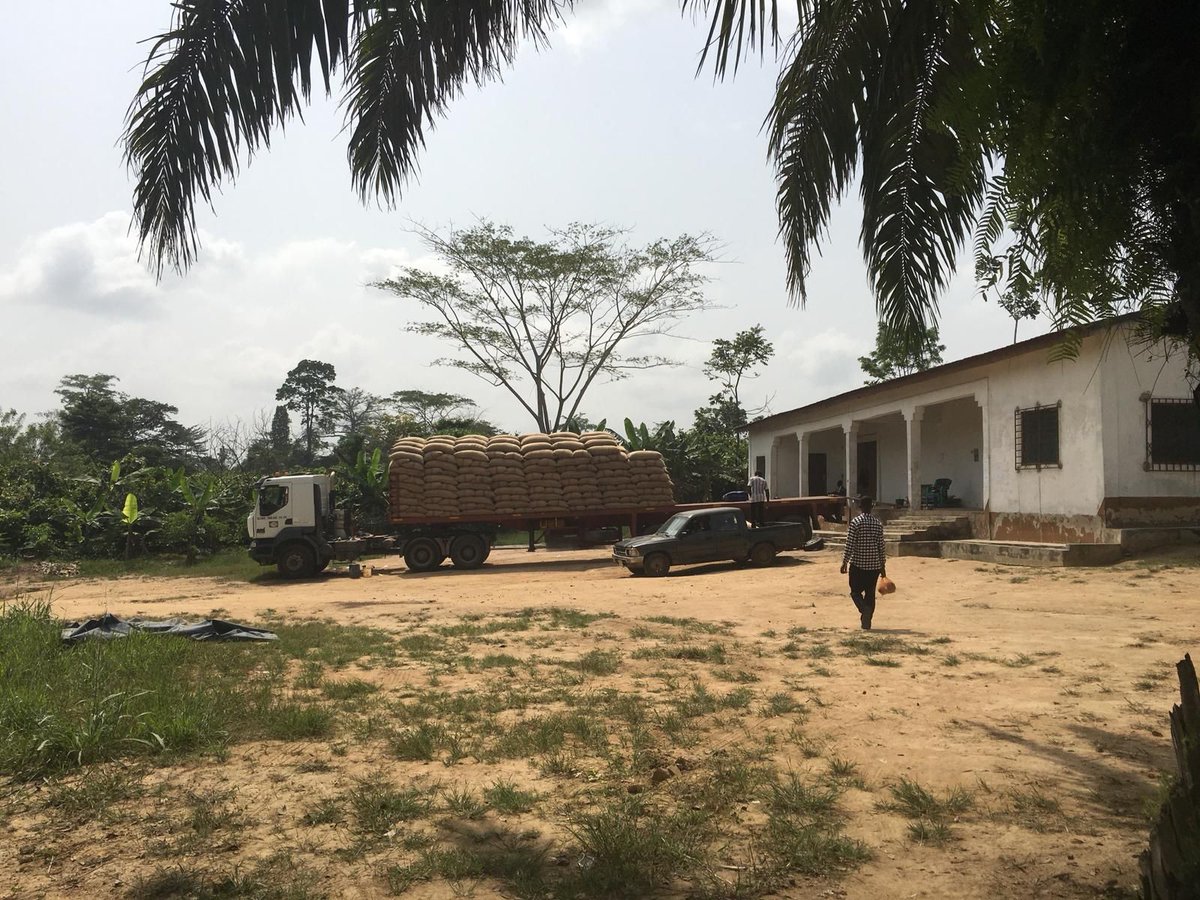 CocoanectBV's tweet photo. For most people this time is all about decorating the house & wrapping gifts, but for those of us working in cocoa it's all about loading & shipping! #cocoa #maincrop #busyseason https://t.co/qnlEMUvRQ8