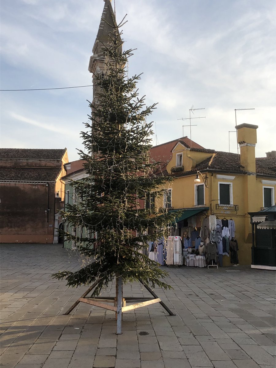 bodoramelow's tweet photo. Den wunderbaren #Rupfi gibt es selbst auf Burano. Hier wird Erfurt kopiert, aber das Orginal in Erfurt ist größer. Weihnachtsbäume mit Charakter! https://t.co/FH9sWcIGv3