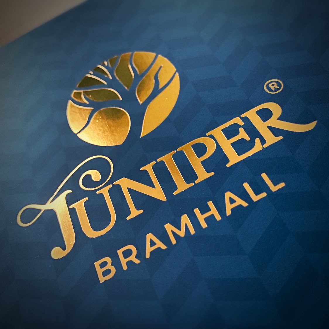 Dzinr ® tweet media