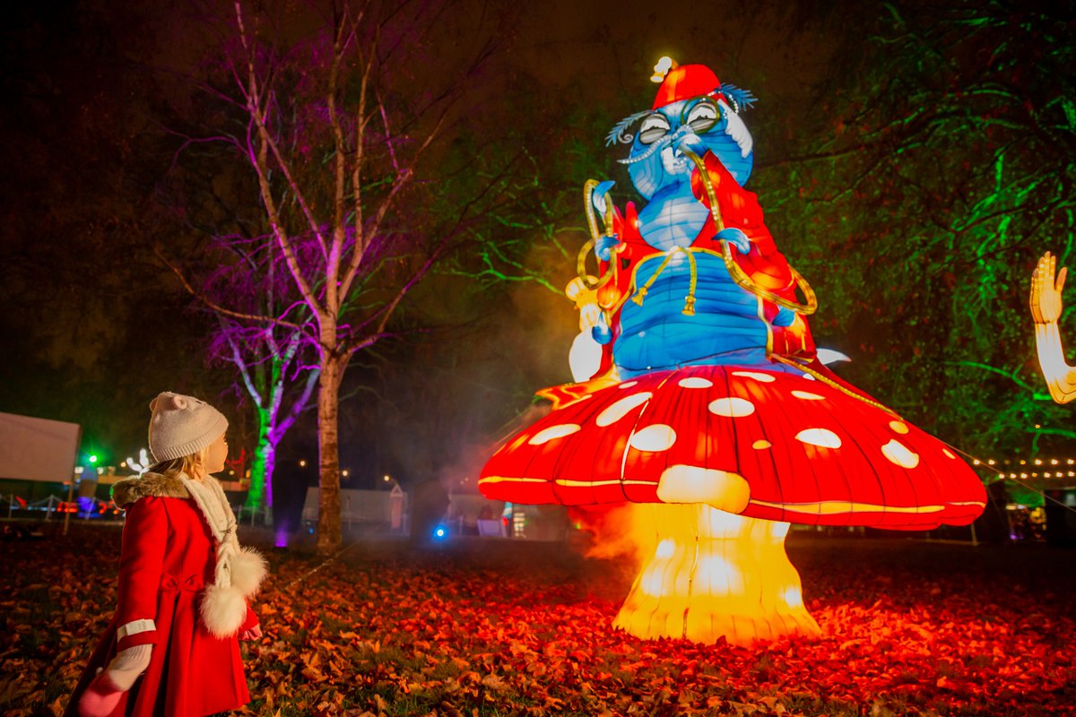 AliceInWinter's tweet photo. Journey down the rabbit hole this #Christmas at #AliceInWinterland!

Book your tickets here - https://t.co/zjicAEO7SY https://t.co/rkadxT7T5T