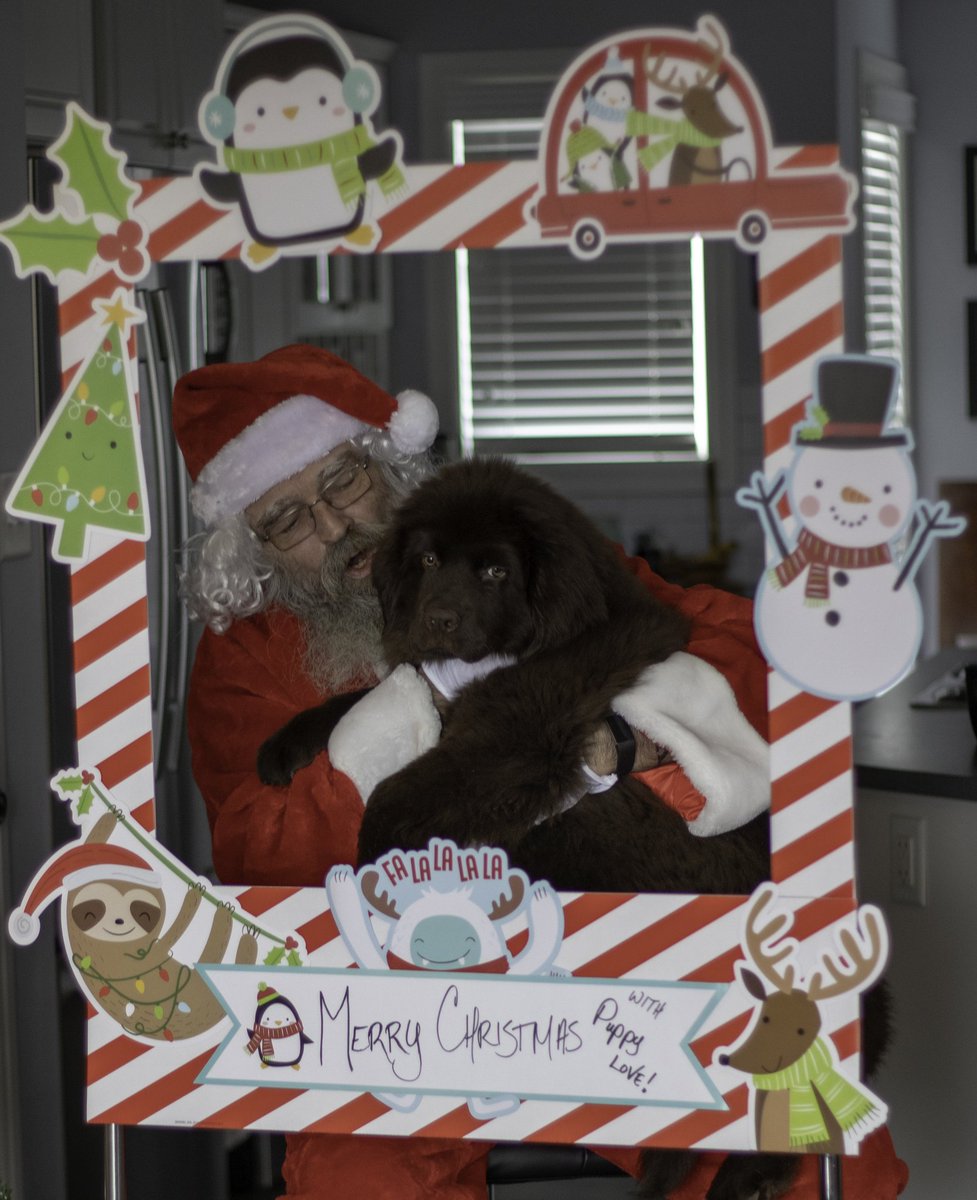 Bandlord1's tweet photo. One from yesterday
#SantaAndy https://t.co/7QxK6Lintm