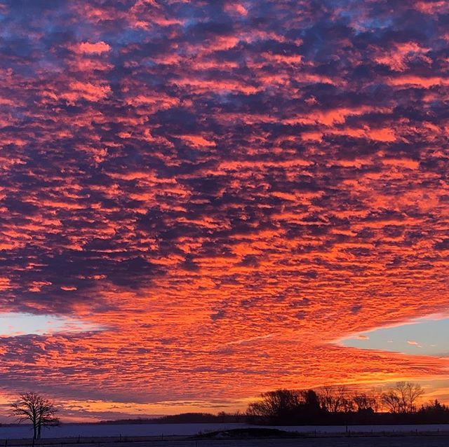 SarahMahiHarder's tweet photo. Fiery sunrise. Note “my” tree in the bottom left corner. I never capture it from this side. Made an exception today. •
#mydrivetowork #yourmanitoba #exploremb https://t.co/OccfdFfAan https://t.co/bZo6WSNlu1