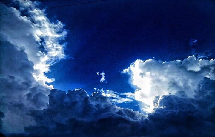 Creature__JJ's tweet photo. #naturesbeauty #natureslove #naturesphotography
#mothernature
#nature #naturebeautiful #natureshooters
#clicked #by #5 #mp #camera  #tree #green #naturelovers #naturebeauty #morninglight #joyclicks #tree #beauty #tree #mobilephotography #India #sunlight #sideshowcollectibles https://t.co/pgvj7mQ7t4
