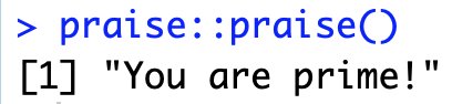 screenshot of the R code praise::praise() and it's output