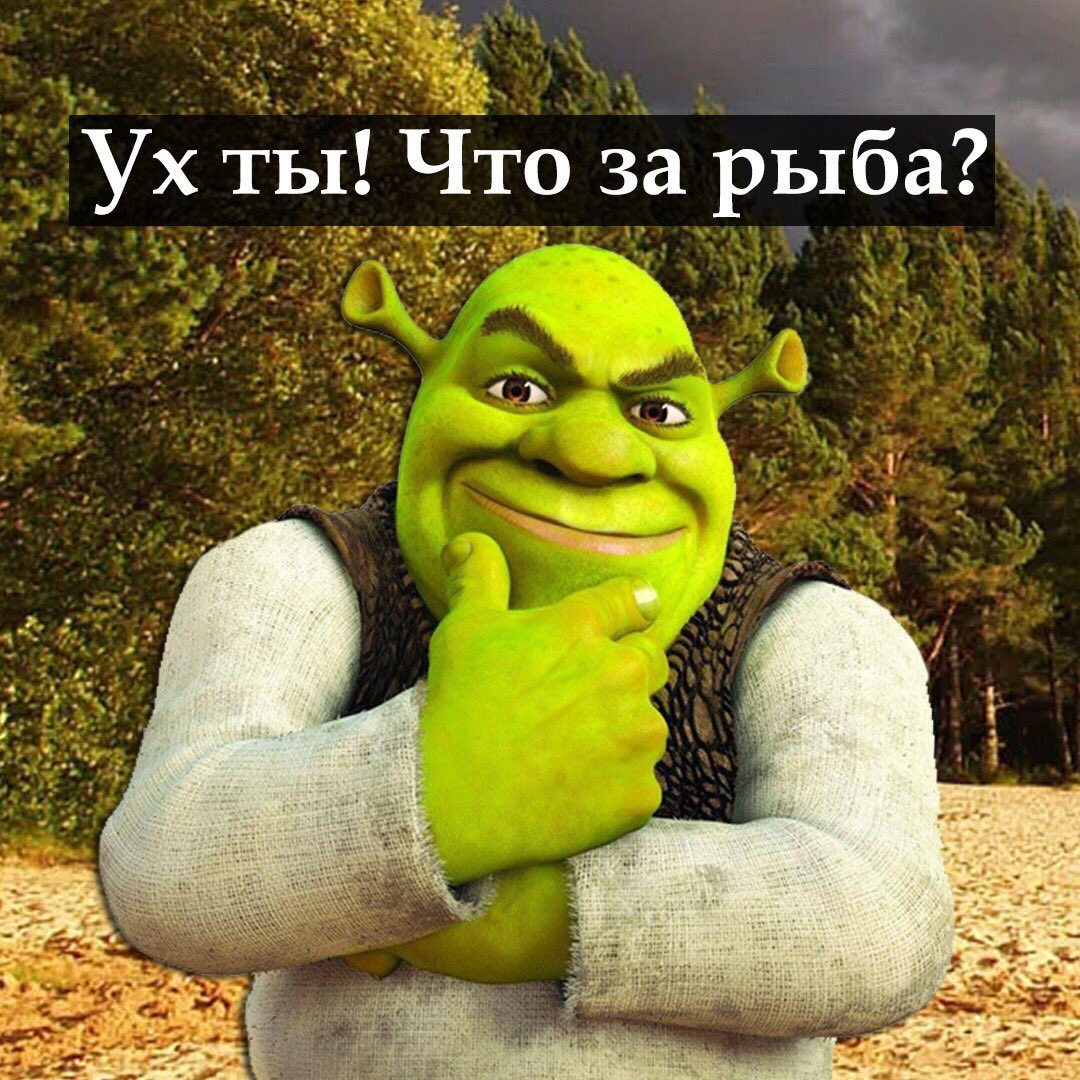 DuoTOJEWkAE9pms.jpg