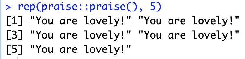 screenshot of the R code rep(praise::praise(), 5) and it's output