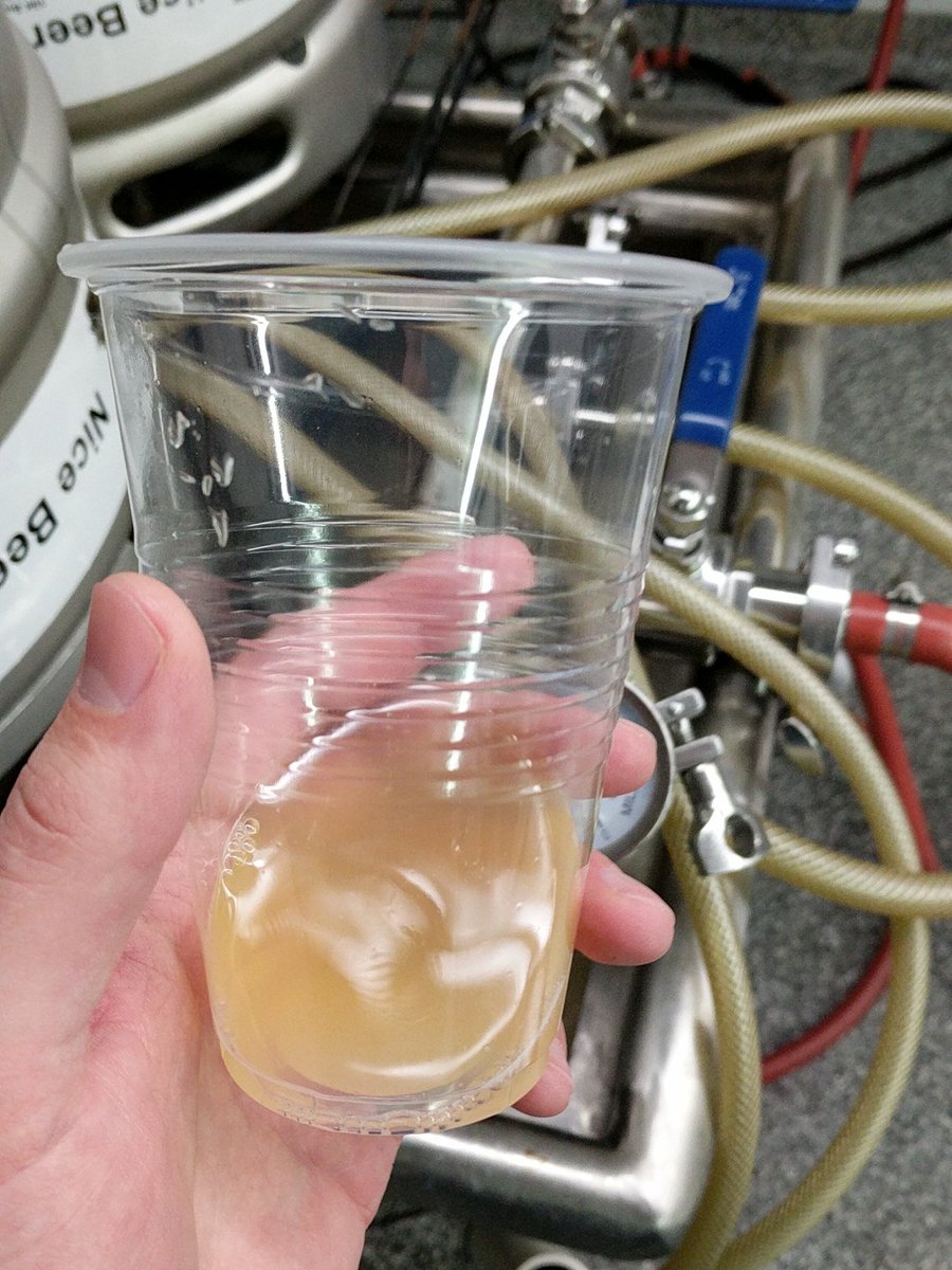 jessehauf's tweet photo. Tasting the Blackberry Berliner Weisse (pre-fruit). Fantastic. @omegayeast made this a huge improvement over our first sour bringing the pH to 3.2 on a kettle sour! https://t.co/PBzT5OWWzq