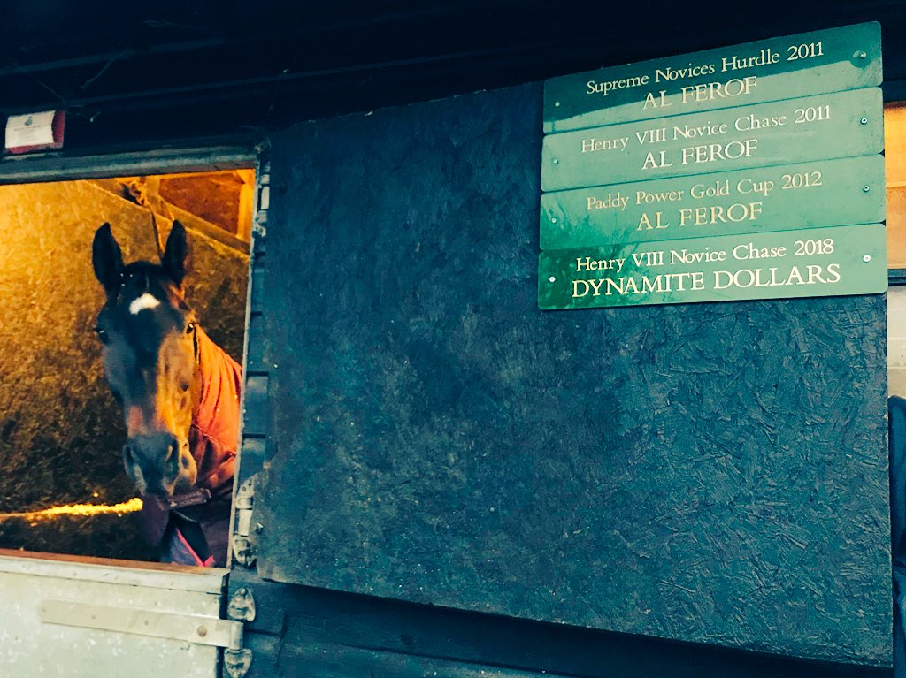 Harry05Derham's tweet photo. The second Henry VIII Novice Chase winner out of this stable. Good boy Dynamite!! #GradeOnewinner https://t.co/qBGOXVwEYX