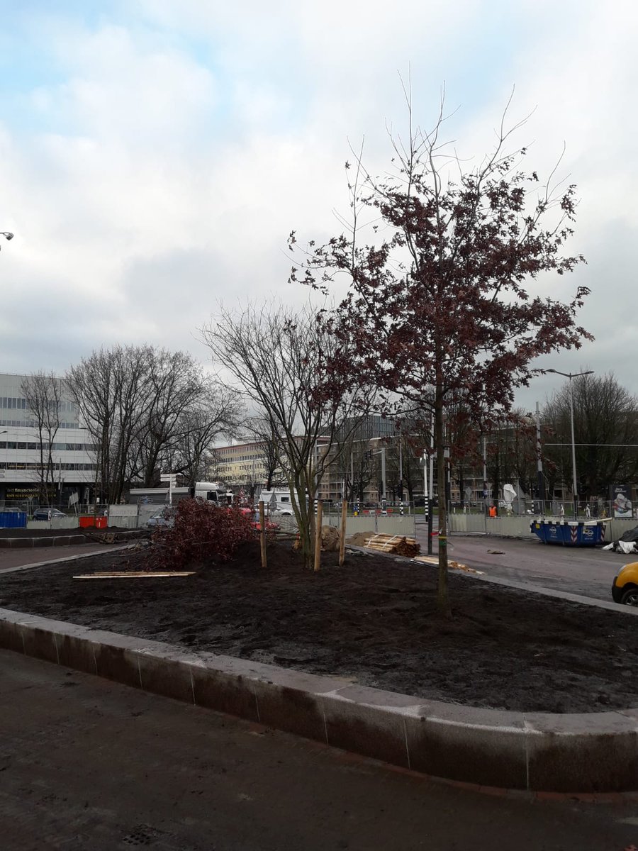 Bomen planten bij het Amstelstation!