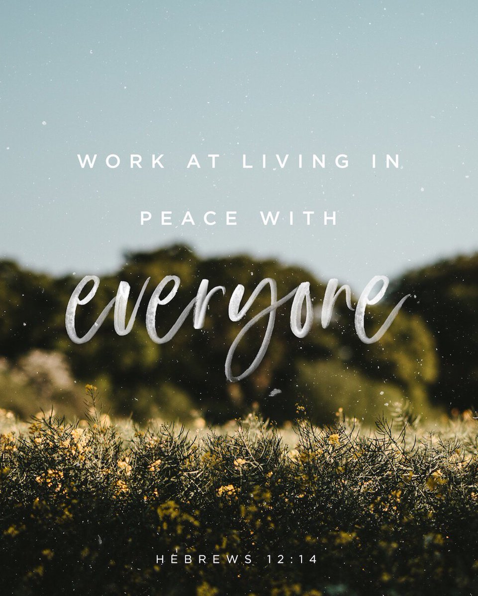 lifechurch's tweet image. Make every effort to live in peace with everyone and to be holy… See to it that no one falls short of the grace of God and that no bitter root grows up to cause trouble and defile many. Hebrews 12:14-15 #lctravellight #youversion #lifechurch #mondaymotivation