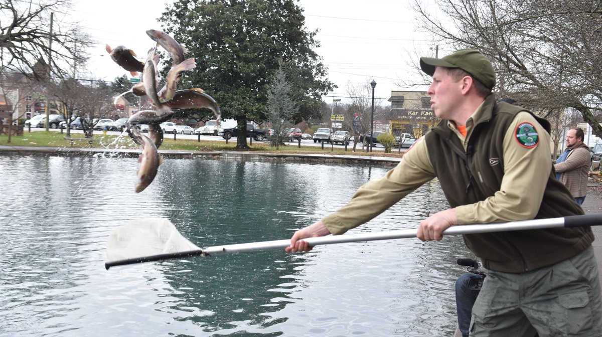 knoxnews's tweet photo. Fountain City Lake restocked with trout https://t.co/qYkMRzV4I3 https://t.co/BItDwuUPi3
