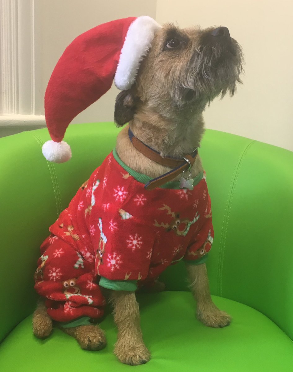 DanePartnership's tweet photo. Wishing everyone we have worked with past, present and future, a very merry Christmas and a happy, healthy and prosperous 2019! 🎁 https://t.co/HkItRQrpnQ