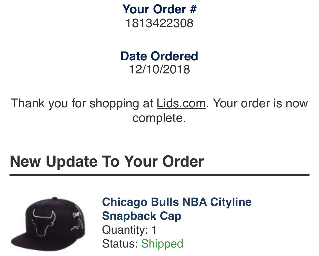 chicago bulls hat lids