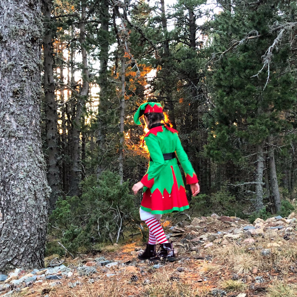 Sabías que hace 7 años que <a href="/PetitsViatgers/">Montse Delgado</a> invitó a los elfos y Papá Noel a venir a Andorra para que pudieran recibir a las familias en estas montañas? Desde entonces, las navidades se llenan de magia al anochecer en <a href="/grandvalira/">Grandvalira Andorra</a> , @vallnord y @Naturlandia #Andorra