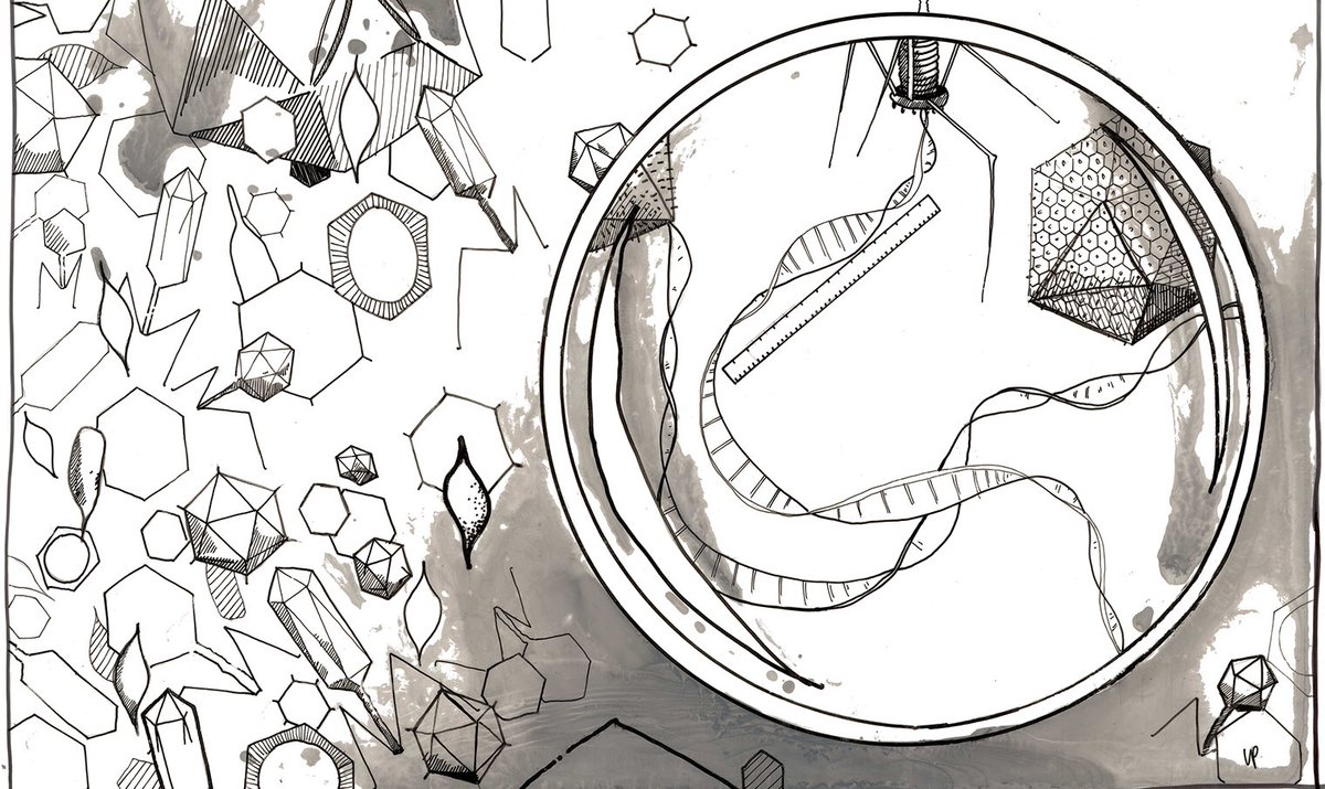 artist rendering of genome standards being applied to deciphering viral diversity (illustration by Leah Pantea)