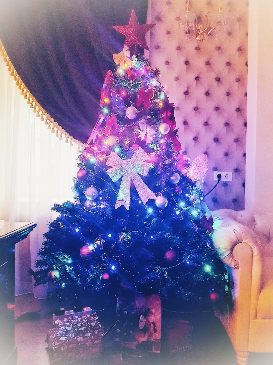 Roxxy_Sweet's tweet photo. See you all on the 24th :) Will be waiting for Santa together🎄🎁🎅 https://t.co/XWzOKjSyWn