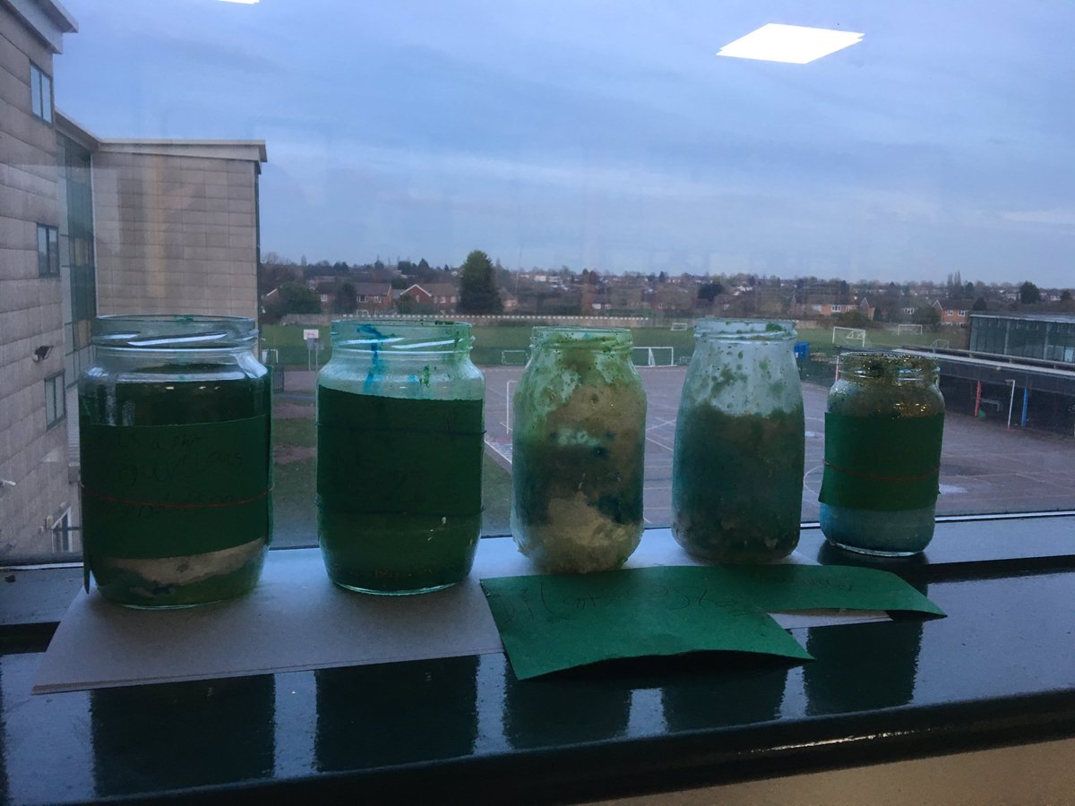 SENDhoops's tweet photo. First post in a while but thought I’d share our ‘marvellous medicines’ created in the classroom today #english #literacy #roalddahl #4days https://t.co/xer4iLyPIv