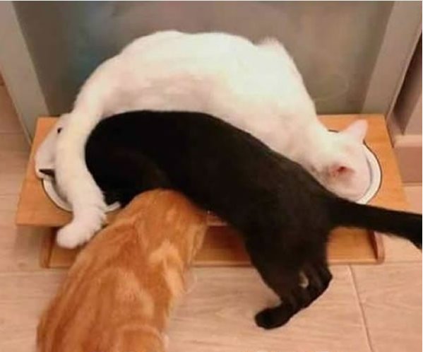 Without field research, it's difficult to get an accurate picture of user workflows.