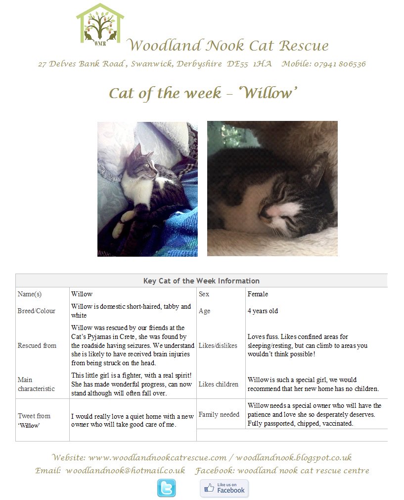 Our lovely girl Willow is still looking for her VERY special forever home. Seriously injured by a wicked individual, Willow has sadly suffered brain injuries. She needs a lot of patience, love and attention. Watch out for the special video we are preparing on Willow!