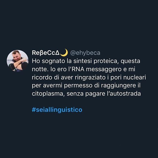 linguisticooo's tweet photo. ABBIAMO BISOGNO DI UNA VACANZA, ORA. (TAGGA UN AMICO) #noidellinguistico #seiallinguistico https://t.co/TjLGe00a6W