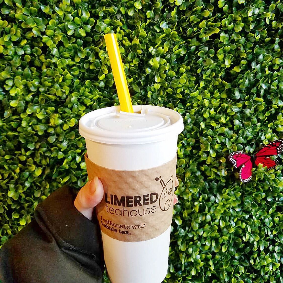 What is your favorite bubble tea latte? Since we source all our milks from local farms, our milk teas taste that much fresher and delicious. We also have <a href="/oatly/">Oatly</a> for our milk alternative friends. Enjoy with your favorite topping.