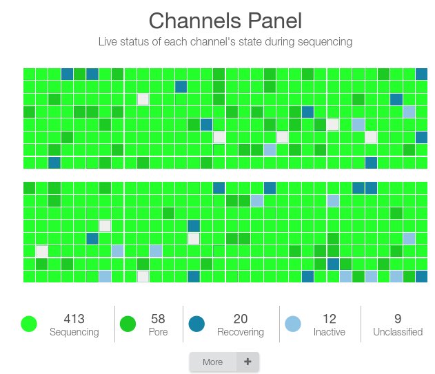 Nicholas Noll (@n_b_noll) on Twitter photo Just finished our first ONT sequencing run with 24 barcodes. Got 1x coverage on all 24 within a few minutes! All credit goes to <a href="/EricUlrich13/">Eric Ulrich</a>. <a href="/nanopore/">Oxford Nanopore</a> we still need more barcodes! Just finished our first ONT sequencing run with 24 barcodes. Got 1x coverage on all 24 within a few minutes! All credit goes to <a href="/EricUlrich13/">Eric Ulrich</a>. <a href="/nanopore/">Oxford Nanopore</a> we still need more barcodes!