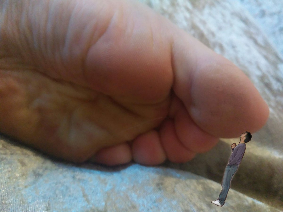 abovepigs's tweet photo. for all my #giantess kink piggies. bet you wish you were in this guy's shoes 

#findom #footfetish #footworship #paypig #femdom #Femalesupremacy #feet https://t.co/zB6crFTTTo