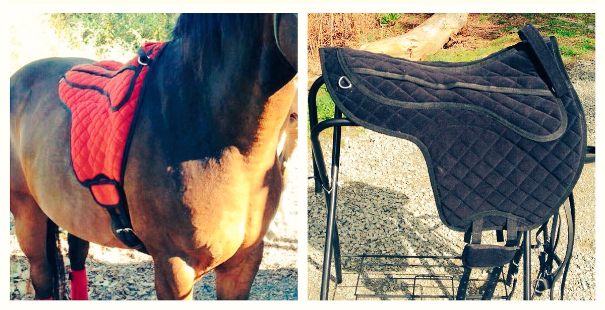 Coming in February: red, and all black! We are taking pre-sales now if you want to be guaranteed you’ll get one and at 2018 prices! #barebackpad #horses #horsebackriding #riderlife #enjoytheride #cowboycomfort #comfortequestriangear #boondocksequestrian #canada #ontario